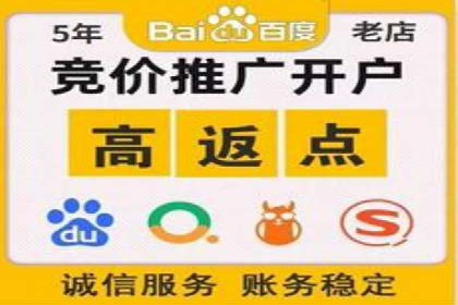 成功案例：竞价推广助力品牌打造知名品牌